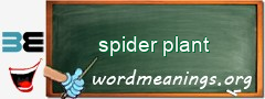 WordMeaning blackboard for spider plant